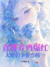 乱世杀伐豪华版资料