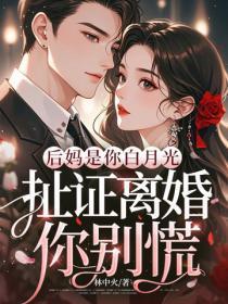 穿越到乱世夺天下的