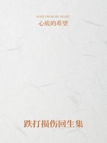 跌打损伤回生集