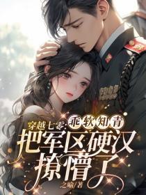 女神的超级保镖 流树