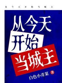 从今天开始当城主